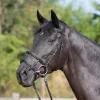 Kieffer Ultrasoft Combi Bridle