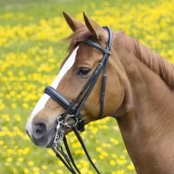 Kieffer Ergonomic Line II Double Bridle