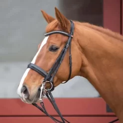 Kieffer Ultrasoft Double Bridle