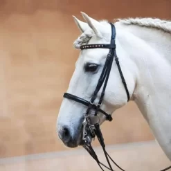 Kieffer Anja Beran Exklusiv Double Bridle