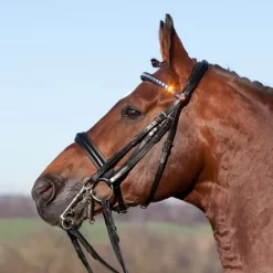 Kieffer Magic Tack Double Bridle – Crystal