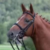 Kieffer Anja Beran Double Bridle