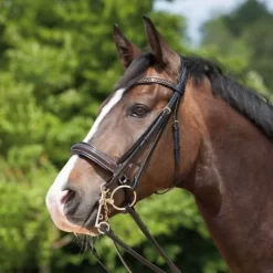 Kieffer Paris Double Bridle