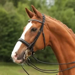 Kieffer Sylvie Double Bridle