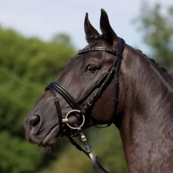 Kieffer Comfort Verona Snaffle Bridle