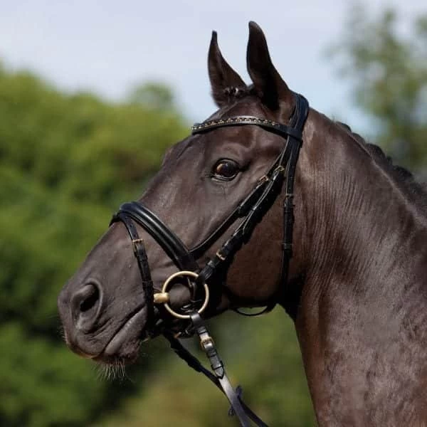 Kieffer Comfort Verona Snaffle Bridle