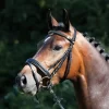 Kieffer Esperanza Snaffle Bridle