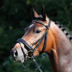 Kieffer Esperanza Snaffle Bridle