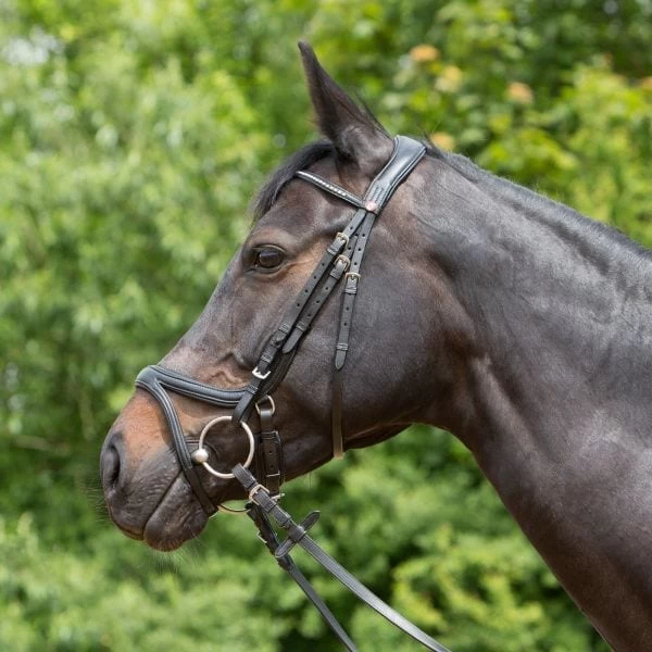 Kieffer Ultrasoft Tara Snaffle Bridle