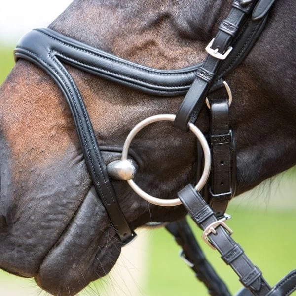 Kieffer Ultrasoft Tara Snaffle Bridle - Image 4
