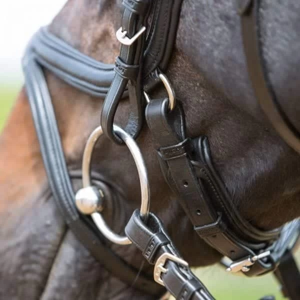 Kieffer Ultrasoft Tara Snaffle Bridle - Image 3