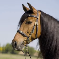 Kieffer Isabella Spanish Snaffle Bridle