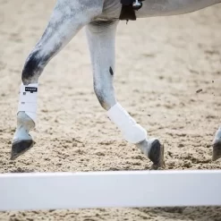 Ecogold Exercise Boots