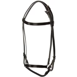 Eques Elegant Bridle With Shiny Lacquer