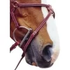 HDR Advantage Adjustble Figure 8 Noseband