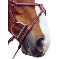 HDR Advantage Adjustble Figure 8 Noseband