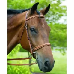HDR Advantage Fancy Raised Padded Bridle