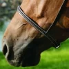 HDR Advantage Plain Raised Noseband