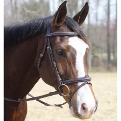 HDR Kushy Bridle With Detachable Flash