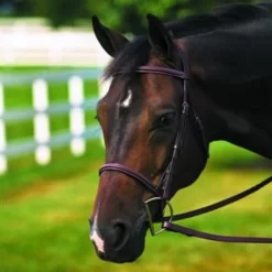 HDR Plain Raised Bridle