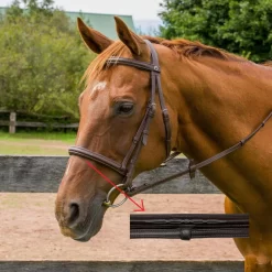 HDR Pro Mono Crown Raised Fancy Stitch Flash Bridle