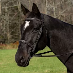 HDR Pro Stress Free Mono Crown Raised Bridle