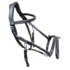 Karlslund Combo Bridle