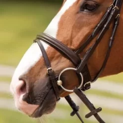 Kieffer Flash Noseband (Elite/Event)