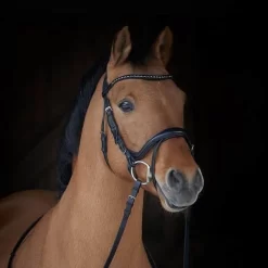 Kieffer Ilona Arabian Snaffle Bridle