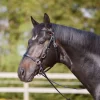 Kieffer LK-Combi Bridle
