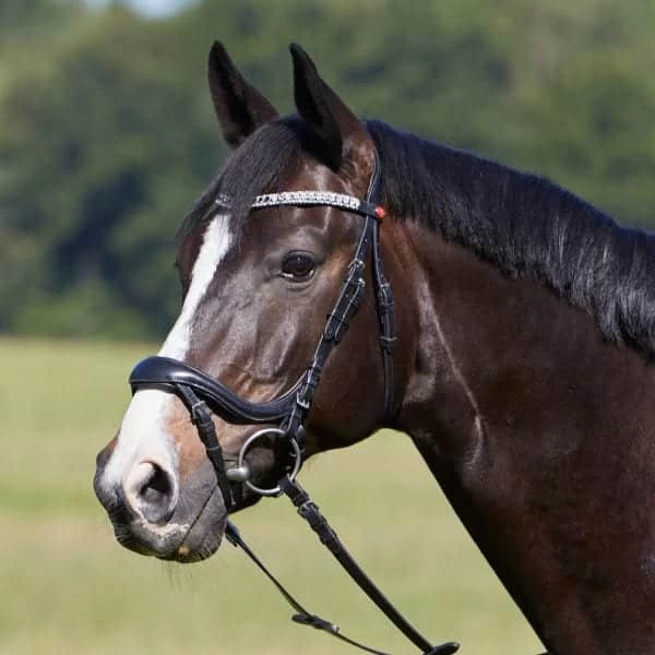 Kieffer Luisa Snaffle Bridle