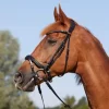 Kieffer Rachel Snaffle Bridle