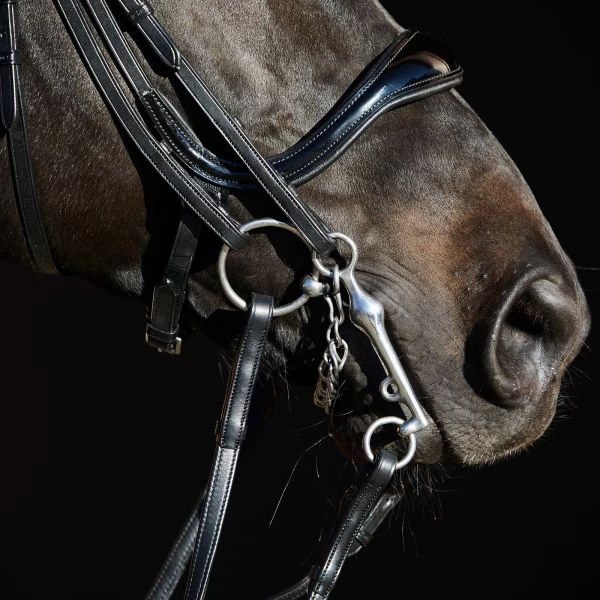 Kieffer Ultrasoft Amy Double Bridle - Image 3