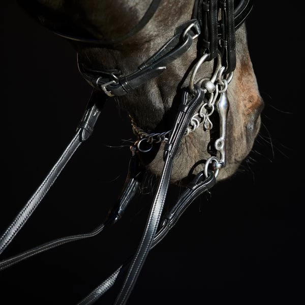 Kieffer Ultrasoft Amy Double Bridle - Image 2
