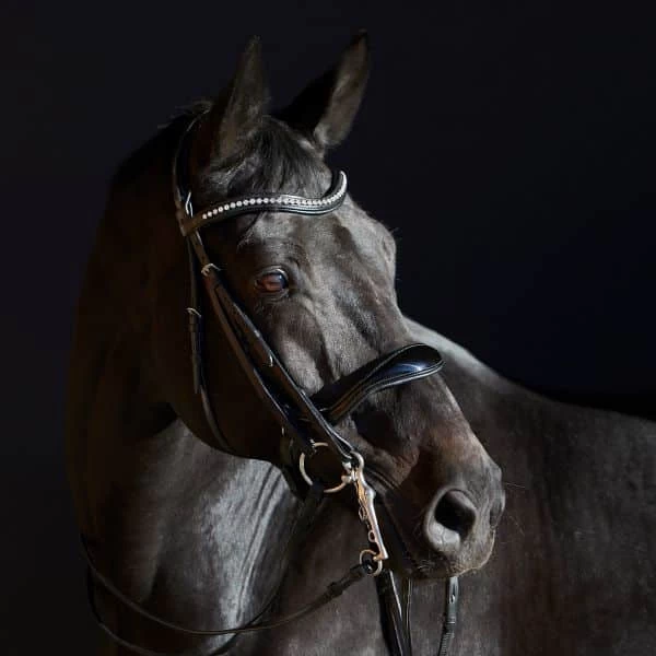Kieffer Ultrasoft Amy Double Bridle