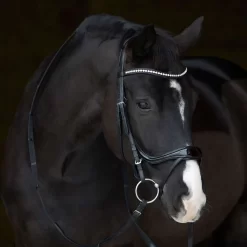 Kieffer Ultrasoft Amy Shine Snaffle Bridle