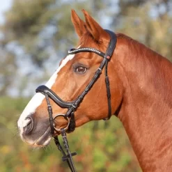 Kieffer Ultrasoft Amy Snaffle Bridle