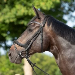 Kieffer Ultrasoft Celia Snaffle Bridle