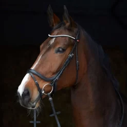 Kieffer Ultrasoft Stella Snaffle Bridle