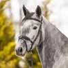 Kieffer Ultrasoft Unah Snaffle Bridle