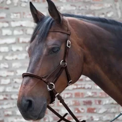 Linda Tellington-Jones Lindell Bitless Bridle