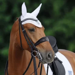 Passier Atlas Double Bridle