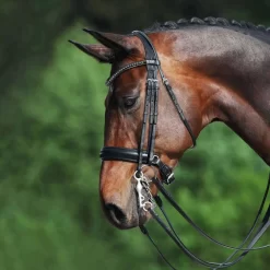 Passier Fortuna Double Bridle