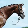 Passier Fortuna Snaffle Bridle