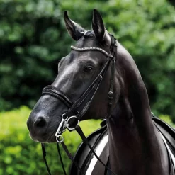 Passier Icarus Double Bridle