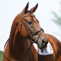 Passier Ingrid Klimke Snaffle Bridle