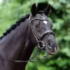 Passier Neptune Snaffle Bridle