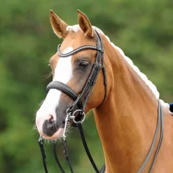 PassierBLU Dream Double Bridle
