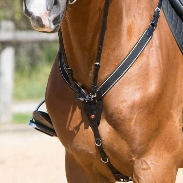 Kieffer Arlene Breastplate