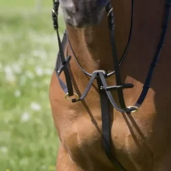 Kieffer Belinda Martingale